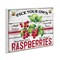 Stupell Industries Pick Your Own Raspberries Wall Plaque Art Design by Creatif Belle